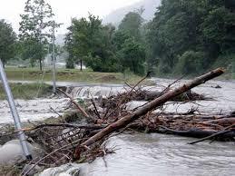 Proroga autorizzazione recupero legname nell'alveo dei fiumi