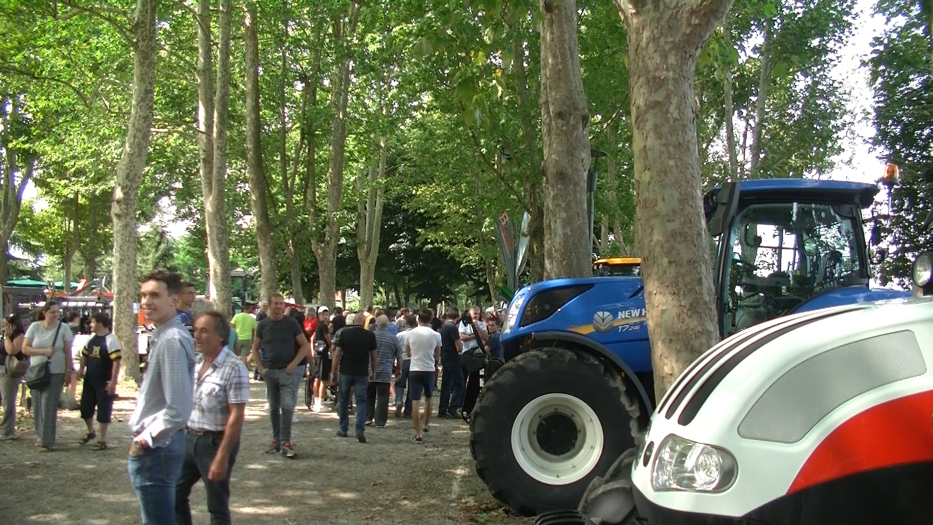 In moto la macchina organizzativa della Fiera del Beato Angelo Carletti