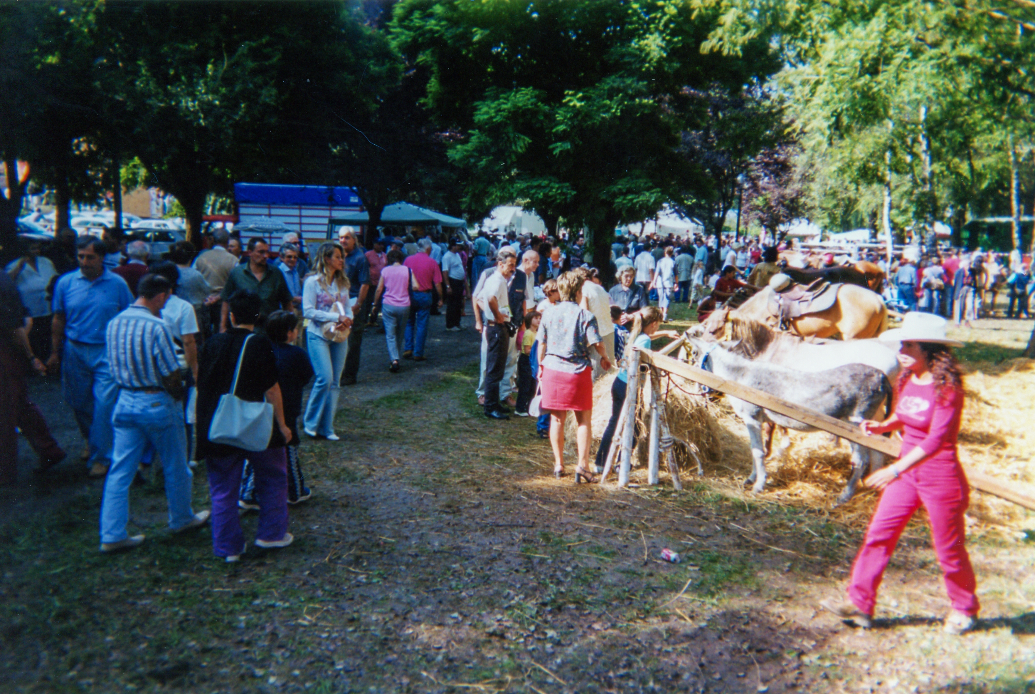 Fiera Regionale del Beato Angelo Carletti scorcio Parco Mauriziano