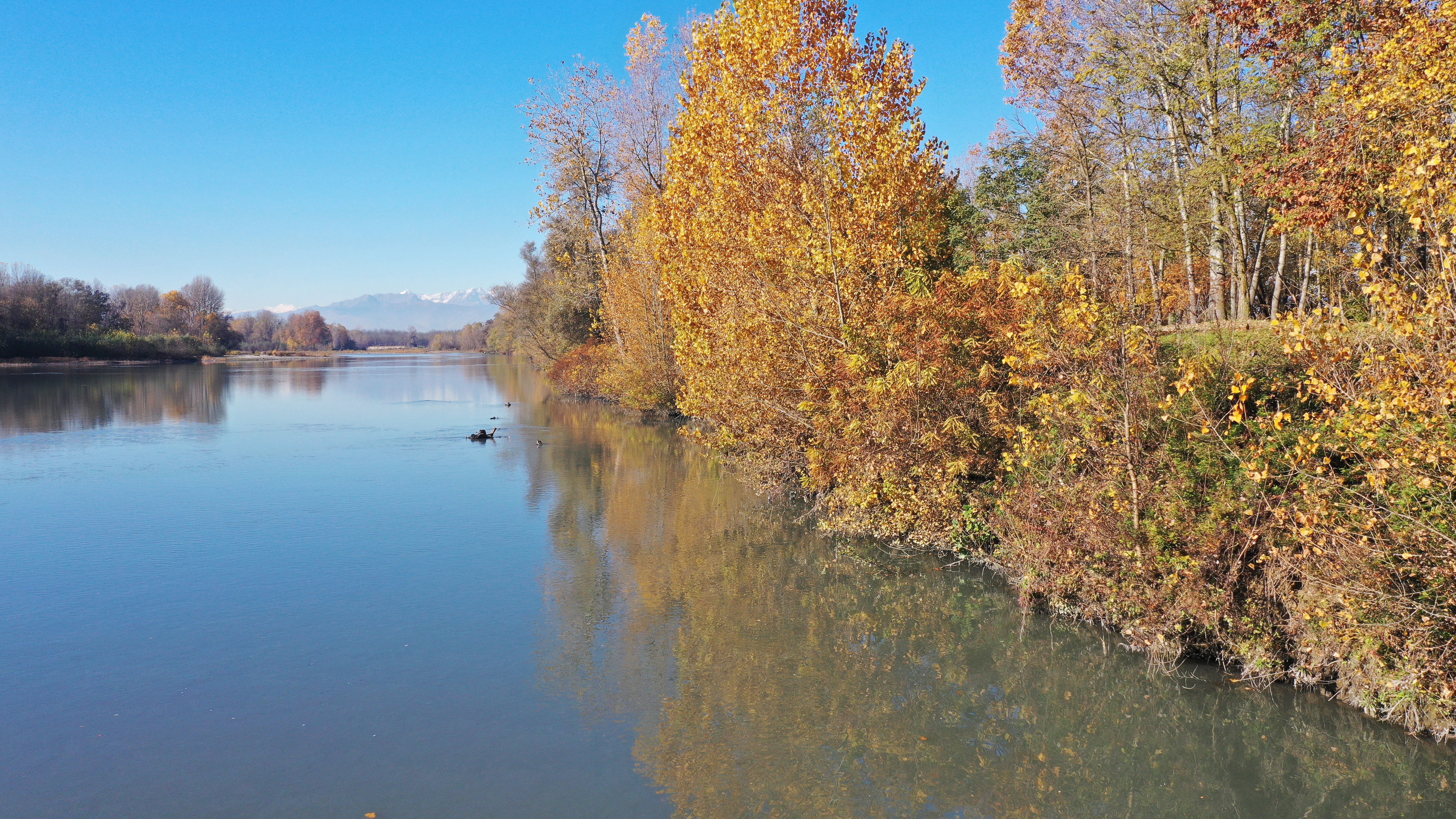 Finanziato per 450 mila euro progetto di “Valorizzazione ambientale ed implementazione della biodiversità nel Parco del Sabiuné”